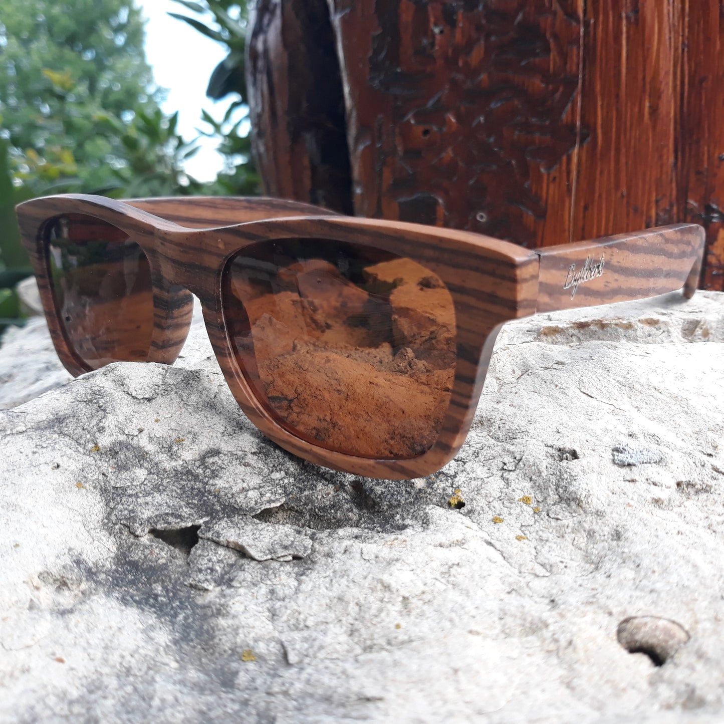 Lunettes de soleil polarisées à monture intégrale Zebrawood